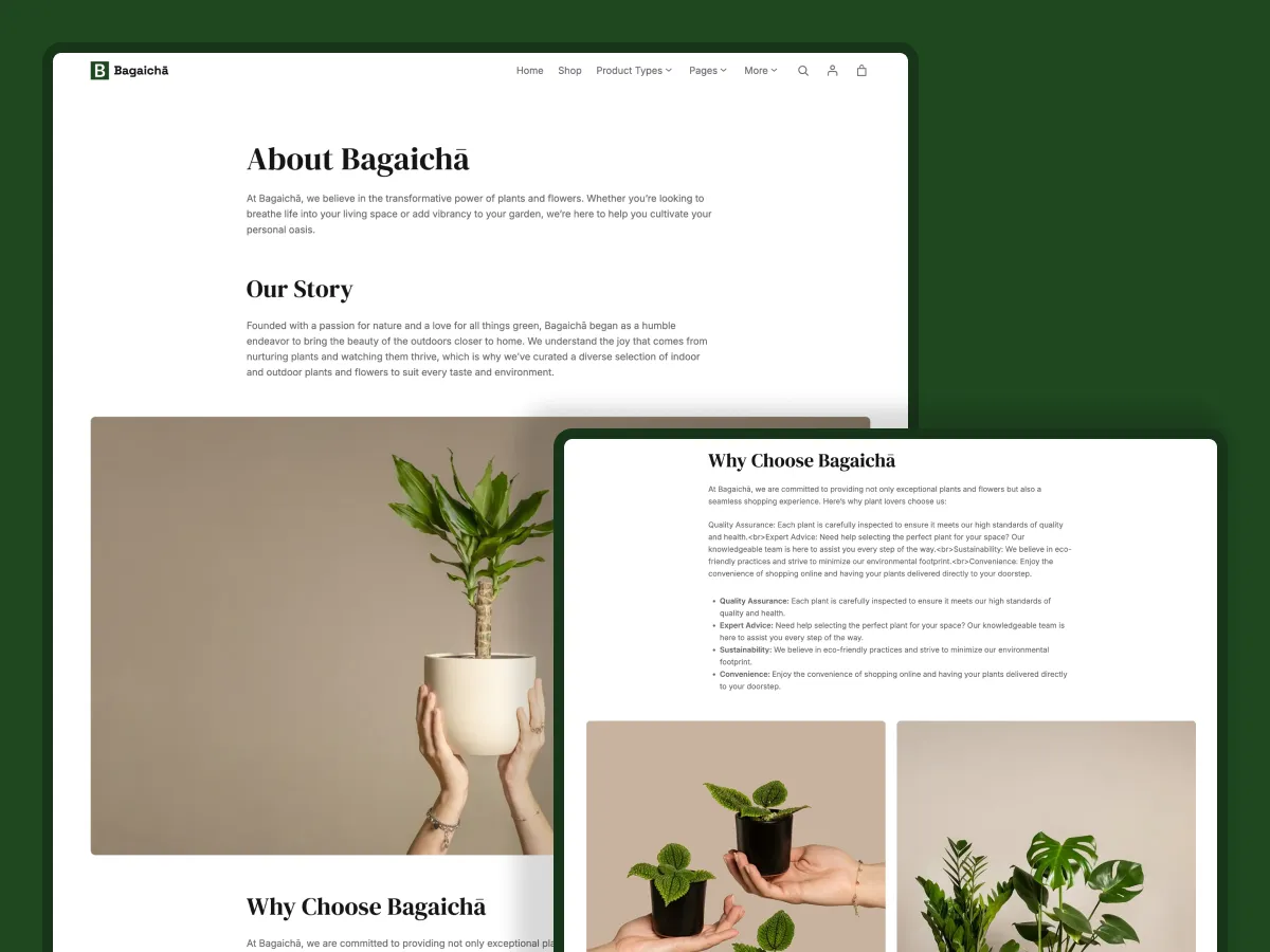 Bagaicha - About Page