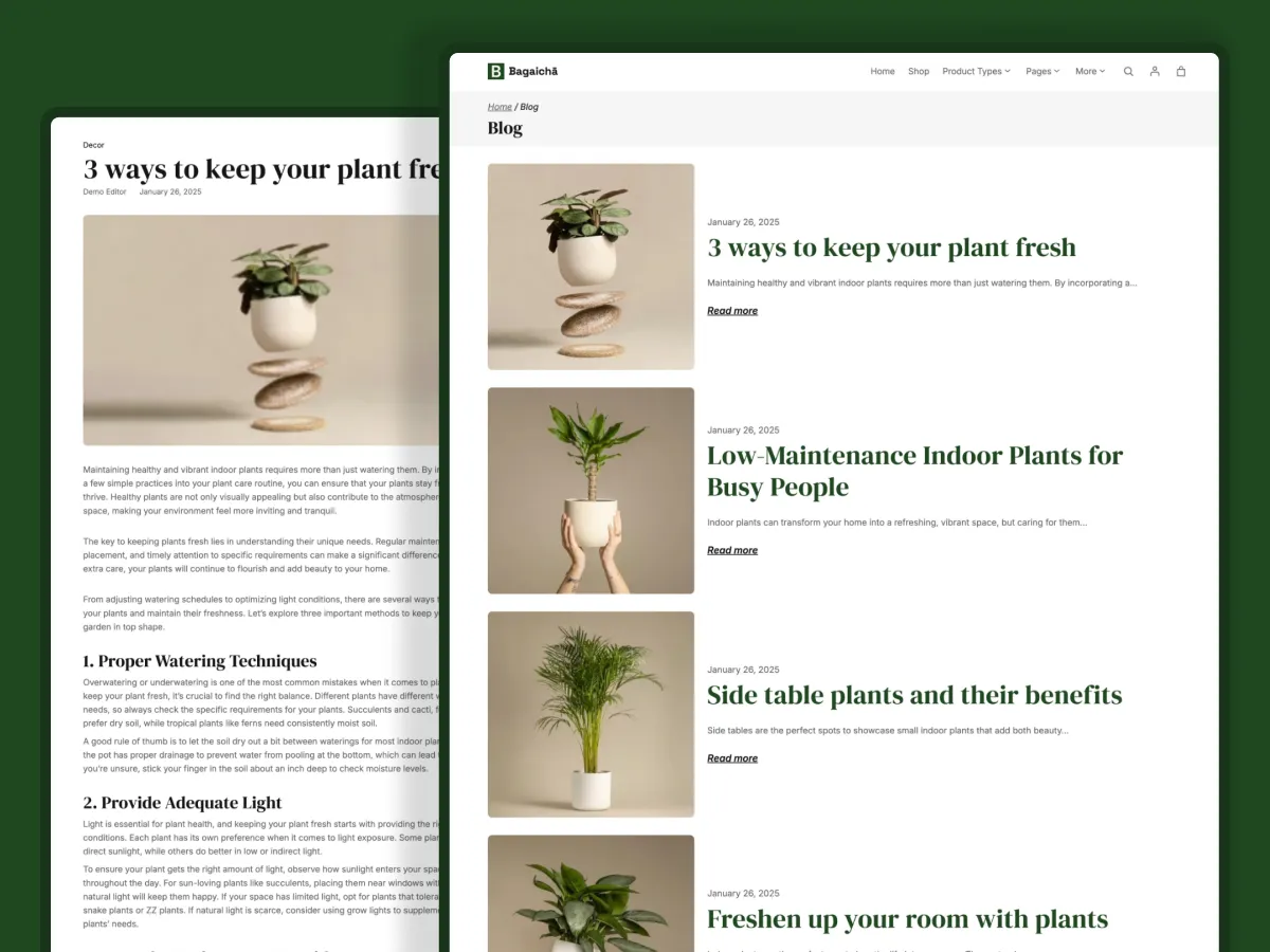 Bagaicha - Blog Page