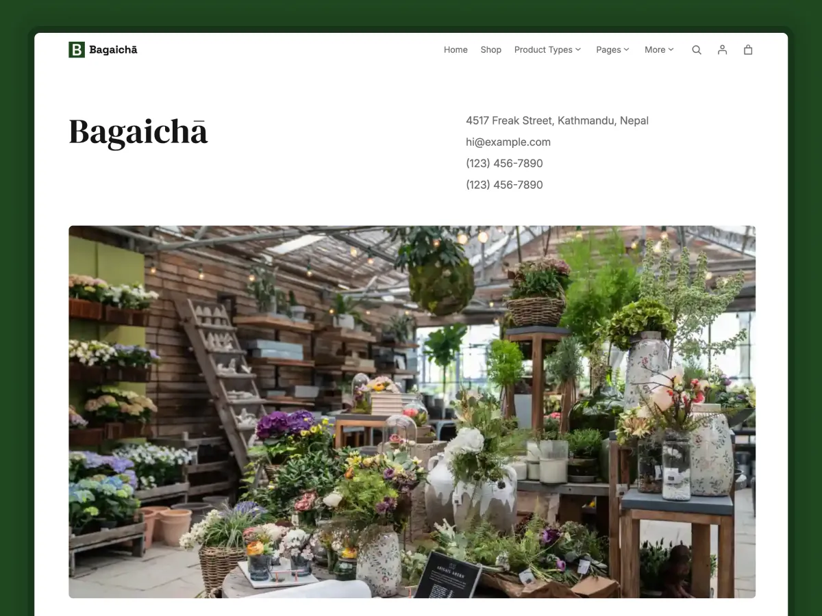 Bagaicha - Contact Page