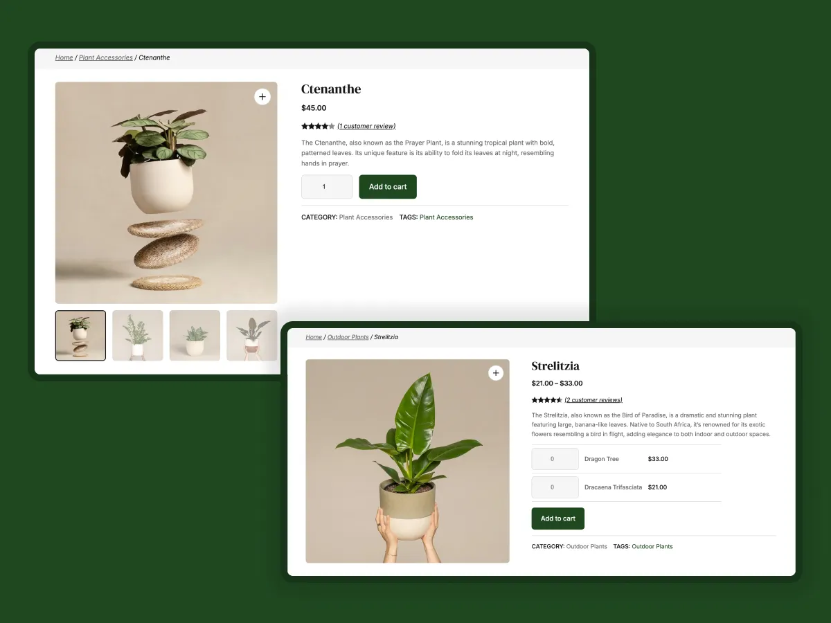 Bagaicha - Product Page