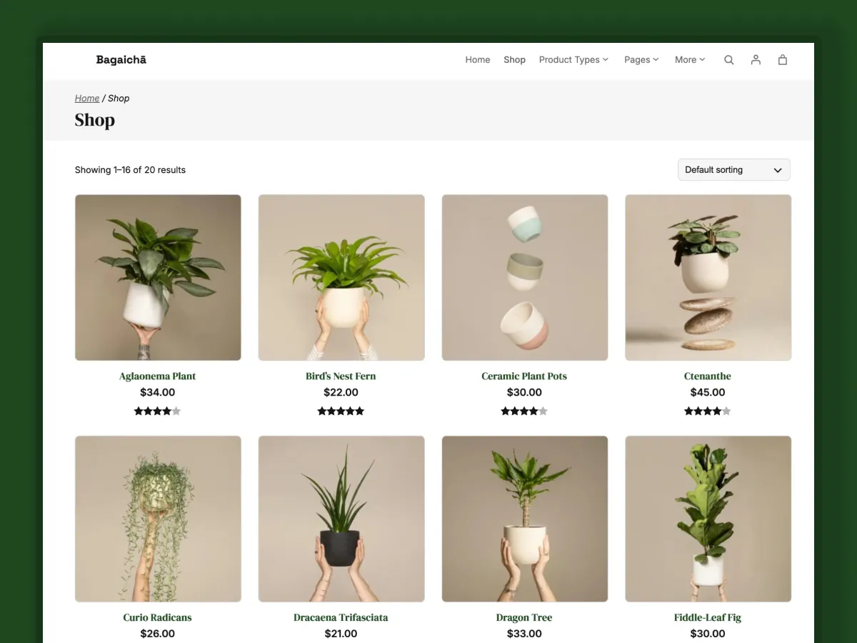 Bagaicha - Shop Page